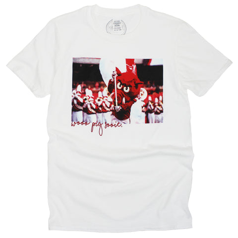 Arkansas Stadium Tee