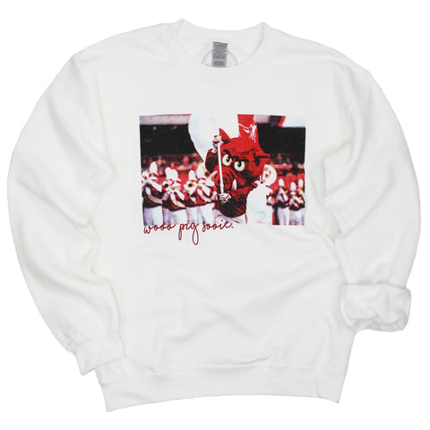 Arkansas Stadium Crewneck Pullover