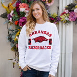 Fancy Fieldgoal Crewneck Fleece in University of Arkansas