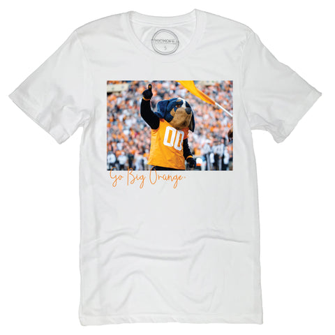 Stadium 2022 Short Sleeve T-shirt in White - University of Tennessee